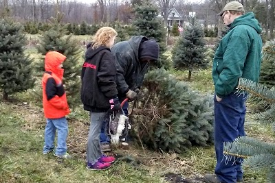 Photos of Shea Christmas Tree Farm