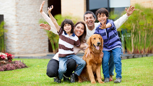 Walnut Plaza Veterinary Hospital