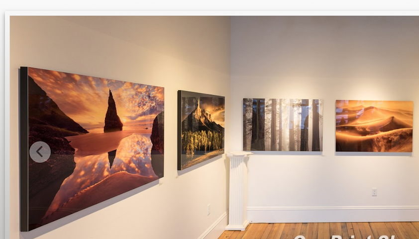 Symbiosis Printing by null