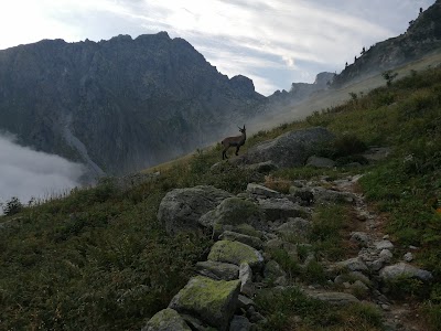 Camping Sotto Il Faggio