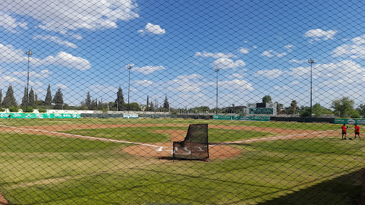 Municipal Stadium: March 21. - Thumbnail