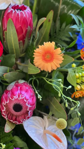 Reviews of Daisie Chain Floral Design in Plymouth - Florist