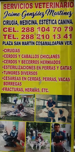 Servicios Veterinarios González