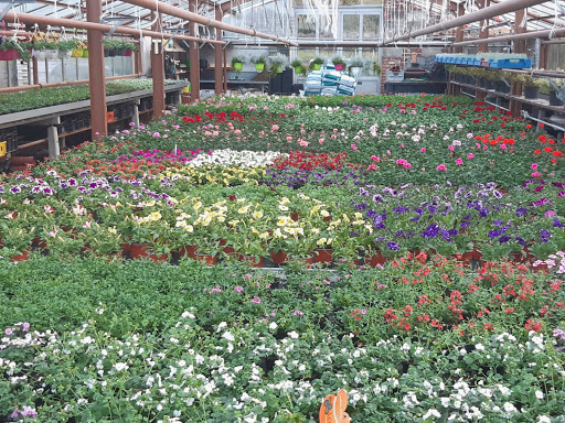 Gärtnerei Uwe Schütze, Meisterbetrieb