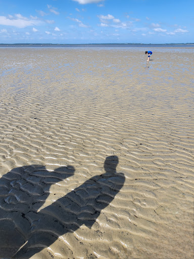 Fish Haul Beach