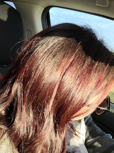 Terra Salon - Thumbnail