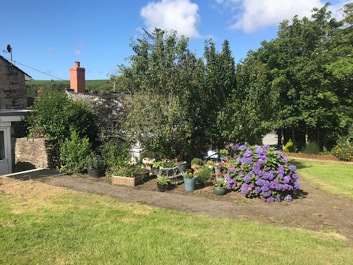 Mill Lane Caravan & Camping Site Gallery - United Kingdom