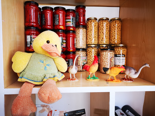 Mi Pollito - Visual