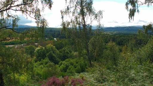 PAINTBALL AVIEMORE, - Thumbnail