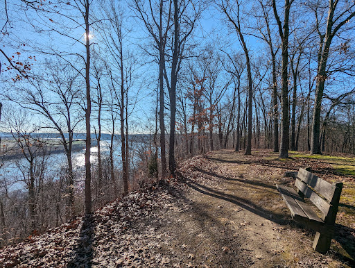 Buzzard Roost Recreation Area - Thumbnail