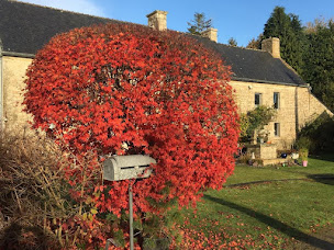 Photo n°1 de Chambre d’hôte Alcove & Agapes - Gîtes de France à Langonnet (Maison d'hôtes)