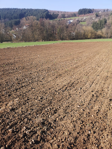 Büffelhof Lerge - Thumbnail