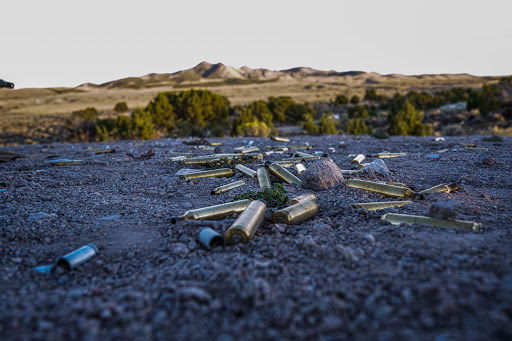 Boring Rifles - Visual
