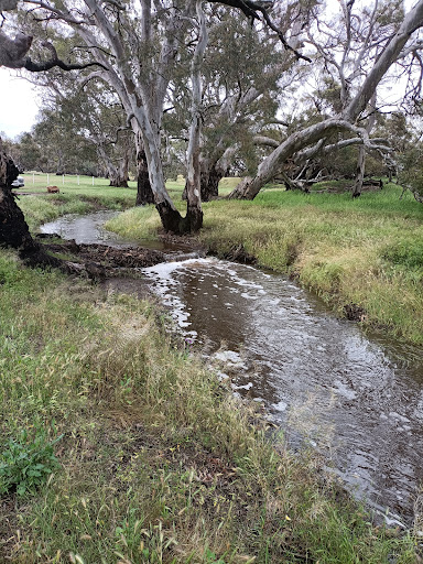 Towitta Campground - Thumbnail