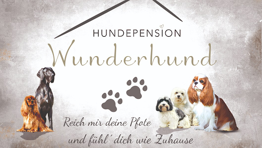 Hundepension Wunderhund Großsteinberger Str. 15, 04668 Parthenstein