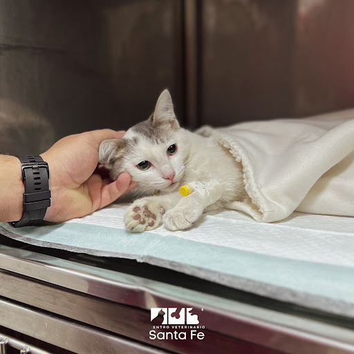 Centro Veterinario Santa Fe