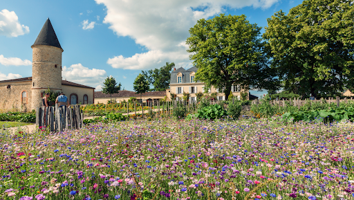 La Bulle Verte - Château Guiraud