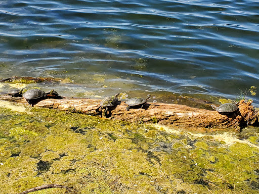 Dickinson Dike Gallery - United States