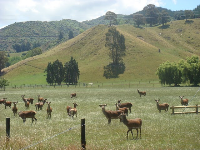 Parc national Abel Tasman