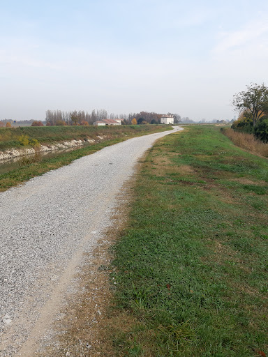 Ca’ Erizzo - Visual