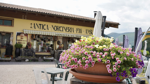 Antica Norcineria F.lli Ansuini Gallery - Italy