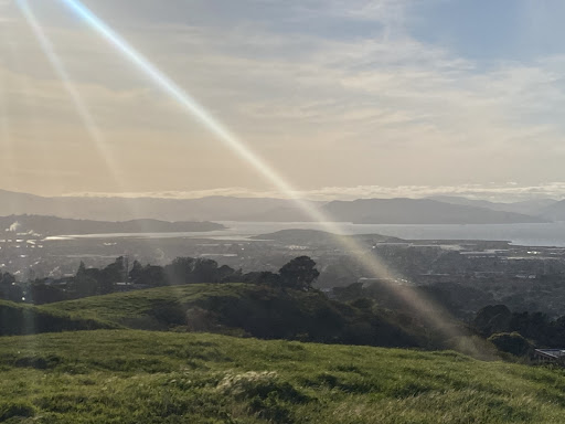 Bonita Gate Trailhead (EBRPD) Gallery - United States