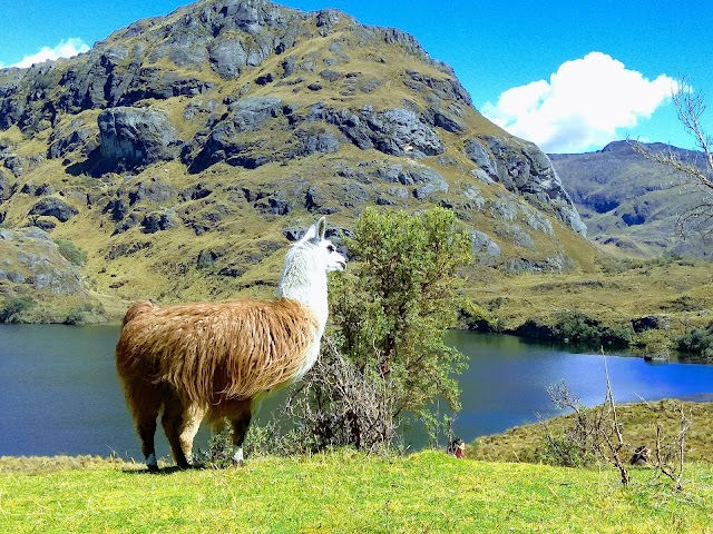 Parc national Cajas