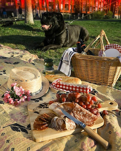 William. J. Walter(République Démocratique du Jambon) by null