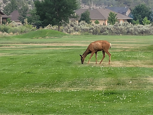 Cedaredge Golf Club - Thumbnail