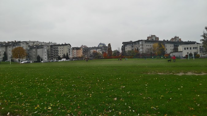 Park Kurdwanów, Author: Nina Vasylieva