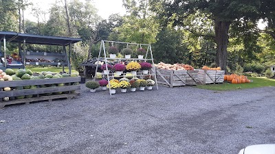 Fresh Produce Peaches Cookies Flowers