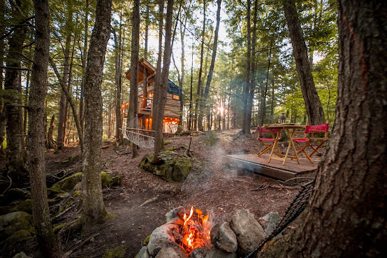 Stone City Treehouse by null