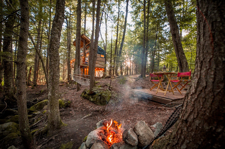 Stone City Treehouse by null
