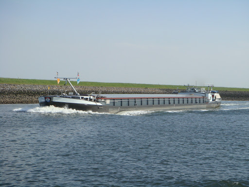 BSA Barge Snoei Ambitie
