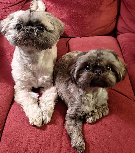 Angela's Grooming & Doggie Spa