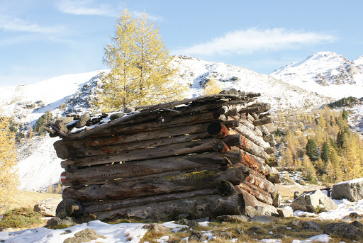 Lignum Haus Srl - Thumbnail
