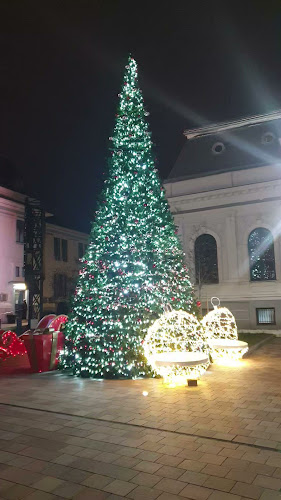 Primăria Municipiului Pitești - Arhitect