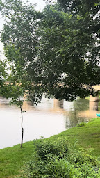 Photo n°8 de La Guinguette du pont de Cénac à Cénac-et-Saint-Julien (Snack)