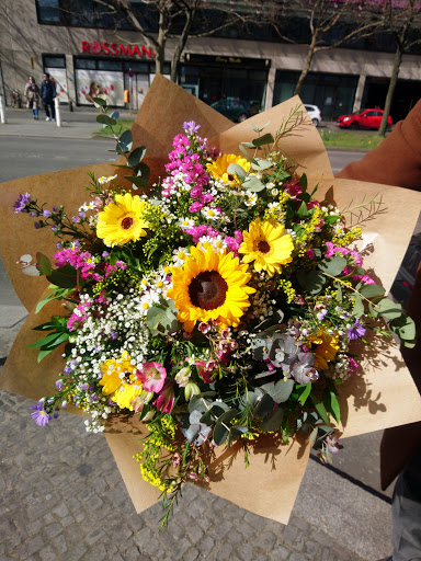 Cutin Blumen - Visual
