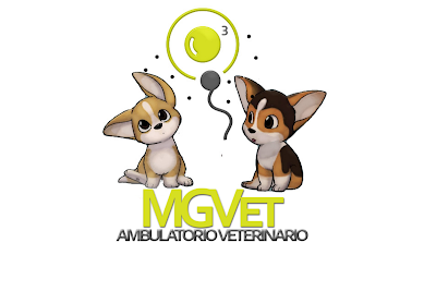 Ambulatorio Veterinario Mgvet