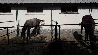 Photos of Şehzade Binicilik Restoran