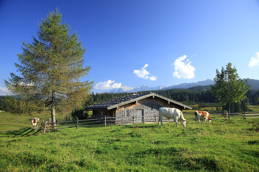 Ferienhaus und Hüttenurlaub - Thumbnail