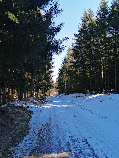 Gemeinde Stützerbach - Visual