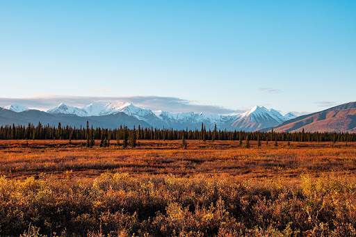 Matanuska Diesel