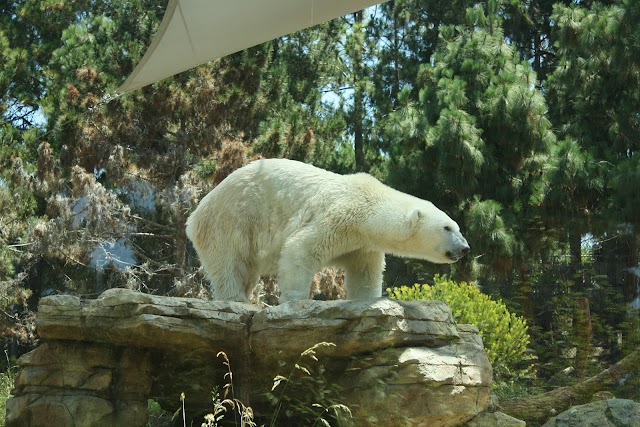 Zoo de San Diego