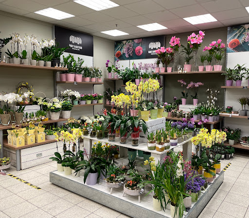 Bart & Bastian Shops Grünstadt - Thumbnail