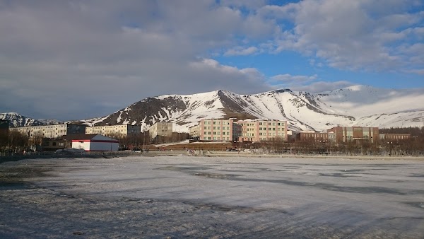 Работа в апатитах мурманской области свежие вакансии. Кировск, ул. Ленинградская,1 Мурманской обл.. Апатит Кировск. Кировск ОАО Апатит. АО Апатит Мурманская область г Кировск.