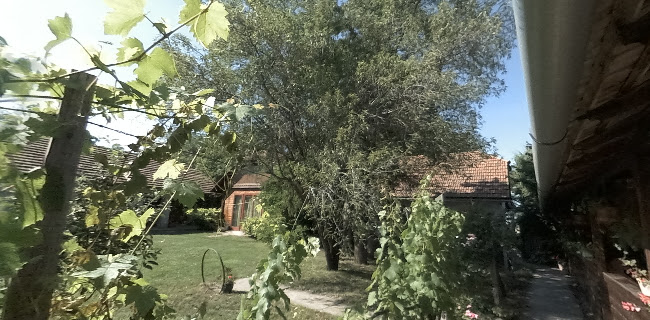 Szarvas, Ezüst szőlő dűlő 350, 5540