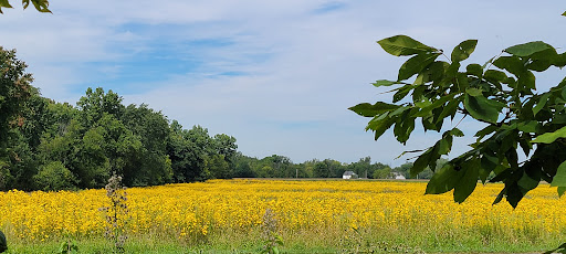 Newell Recreation Preserve, Licking County - Thumbnail