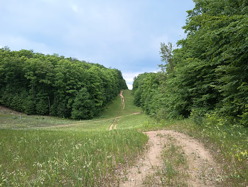 Smerczak Property